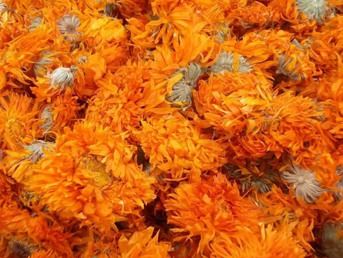 Drying Marigold Flowers Benefits 1