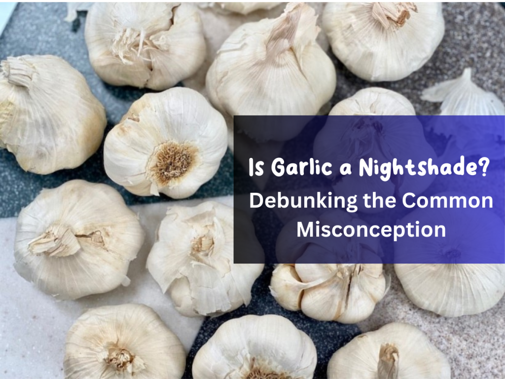 Is Garlic a Nightshade