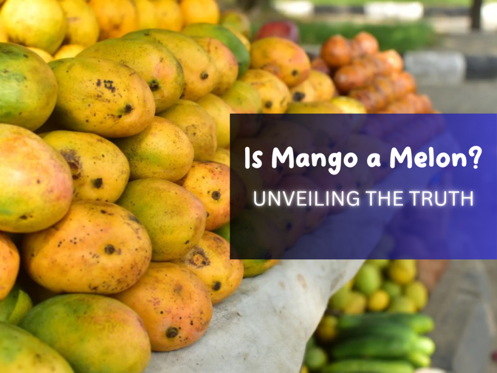 Is Mango a Melon