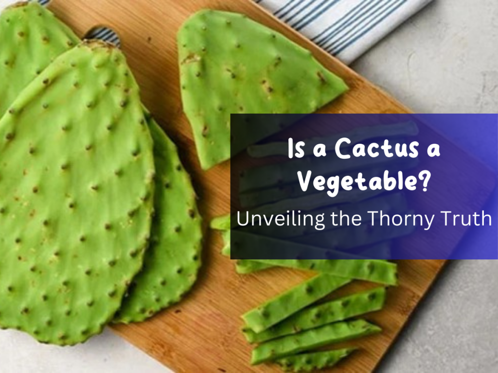 Is a Cactus a Vegetable