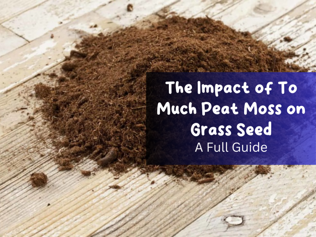 The Impact of To Much Peat Moss on Grass Seed