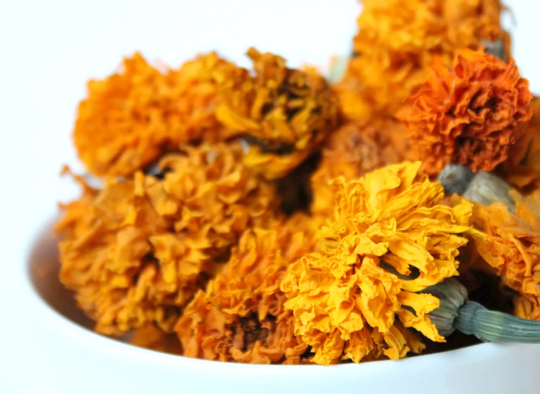 Drying Marigold Flowers Preserving Beauty and Benefits