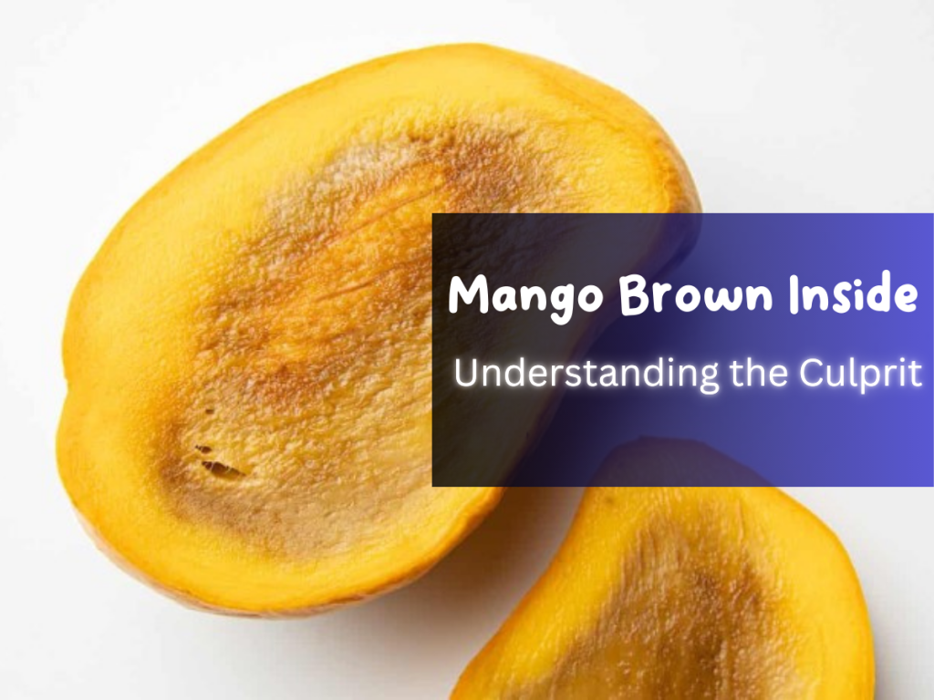 Mango Brown Inside