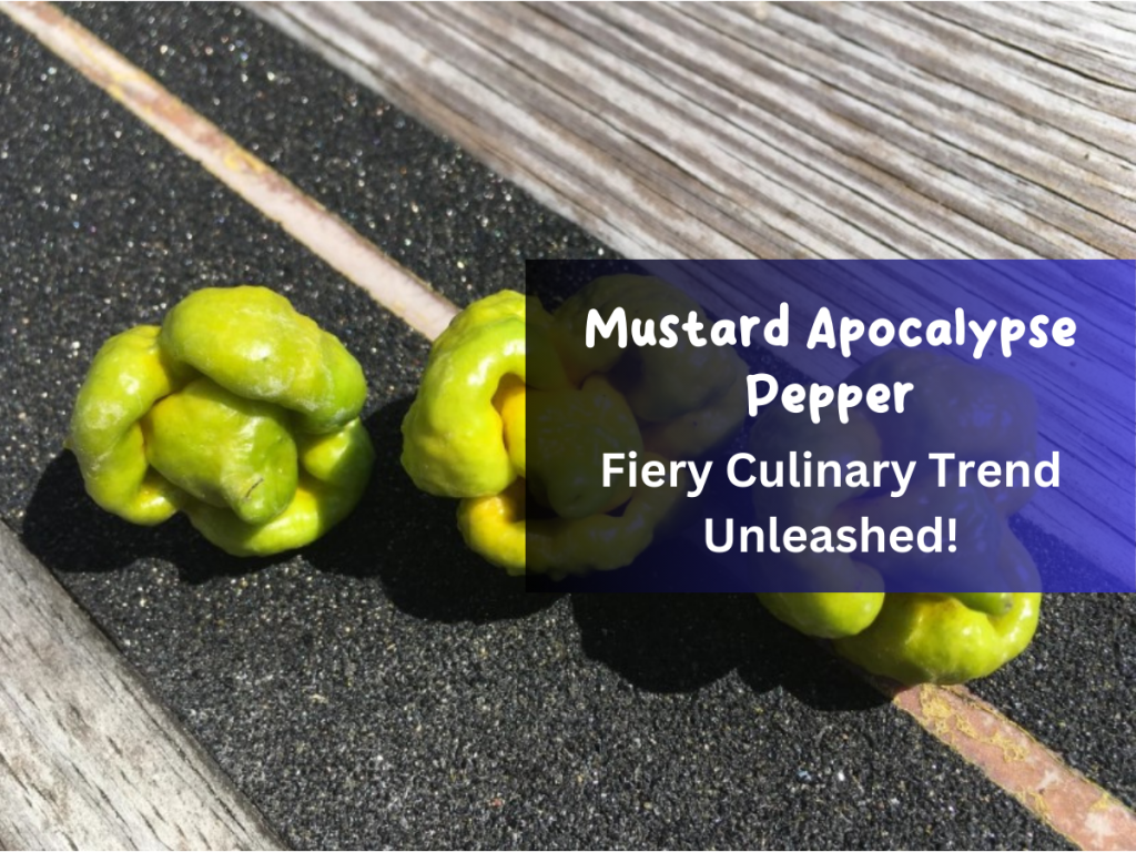 Mustard Apocalypse Pepper